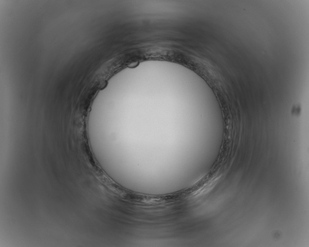 X0000091450753200708161047
