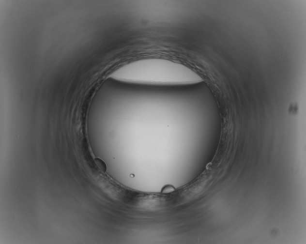 X0000091450754200708161047