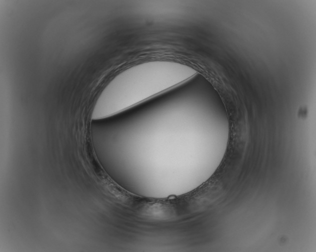 X0000091450755200708161047