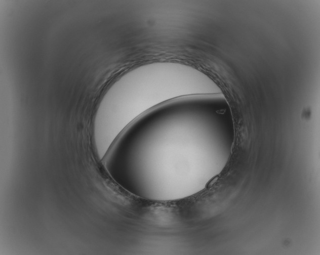 X0000091450756200708161047