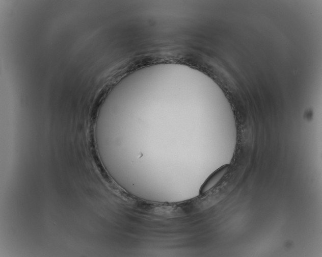 X0000091450757200708161047