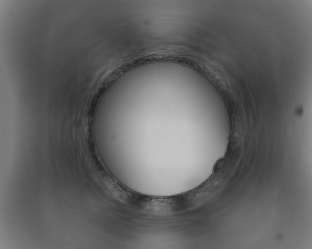X0000091450758200708161047