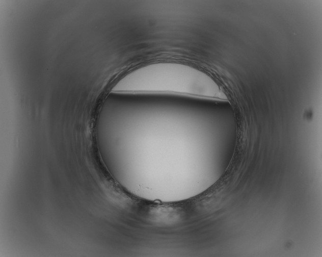X0000091450759200708161047