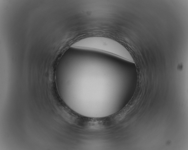 X0000091450760200708161047