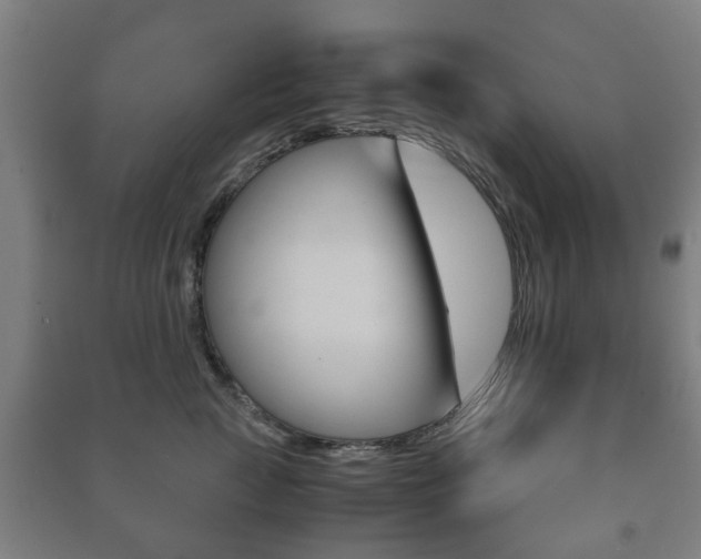 X0000091450761200708161047