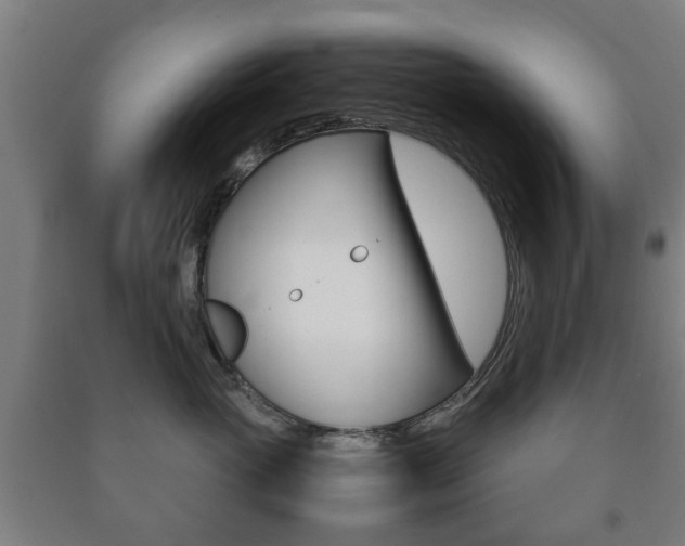 X0000091450765200708161047