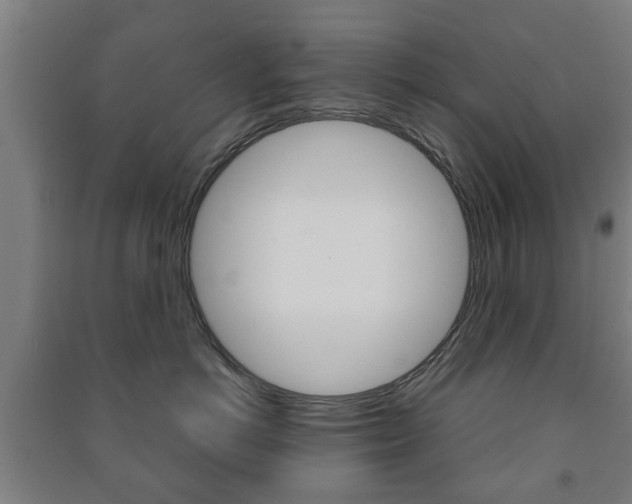 X0000091450766200708161047