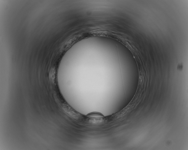 X0000091450767200708161047