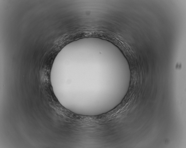X0000091450770200708161046