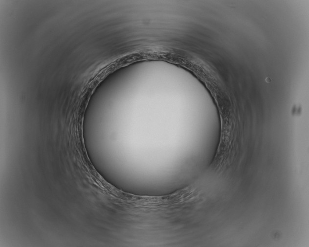 X0000091450773200708161046