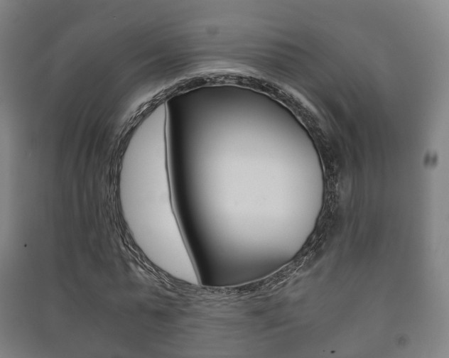 X0000091450775200708161046