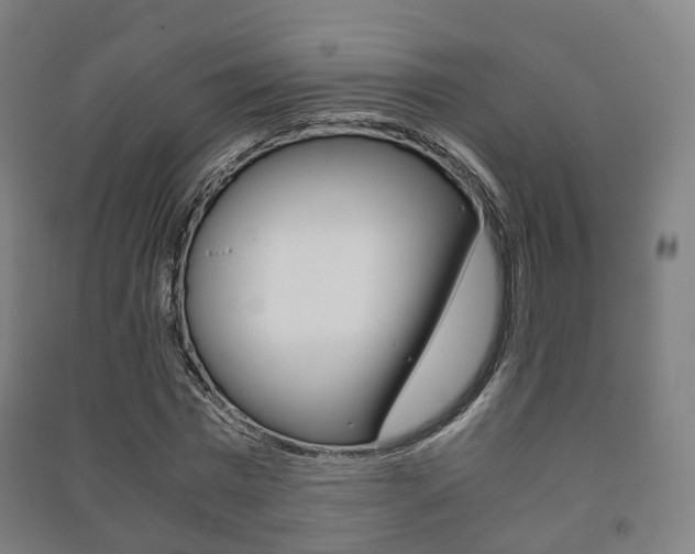 X0000091450777200708161046