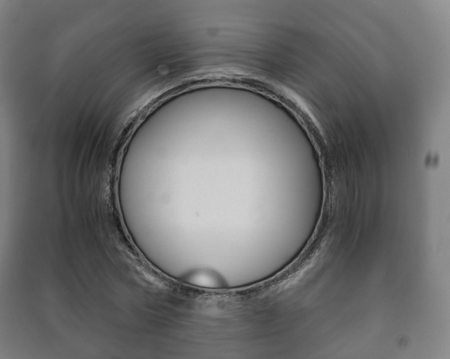 X0000091450778200708161046