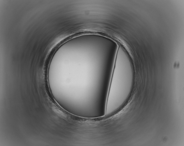 X0000091450779200708161046