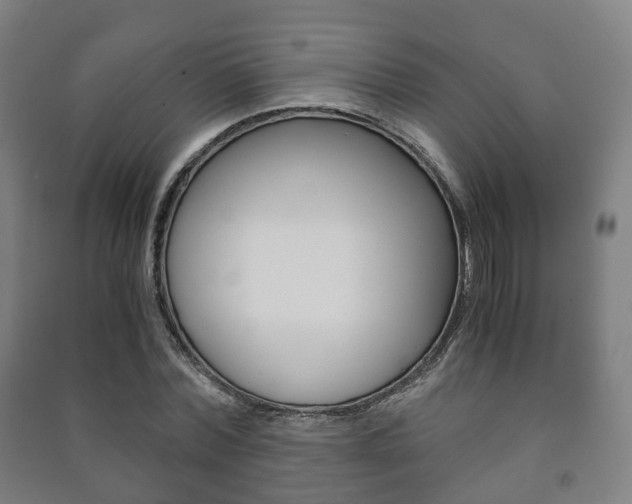 X0000091450780200708161046