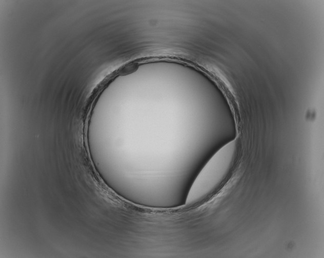 X0000091450781200708161046