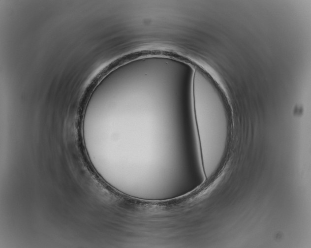 X0000091450783200708161046