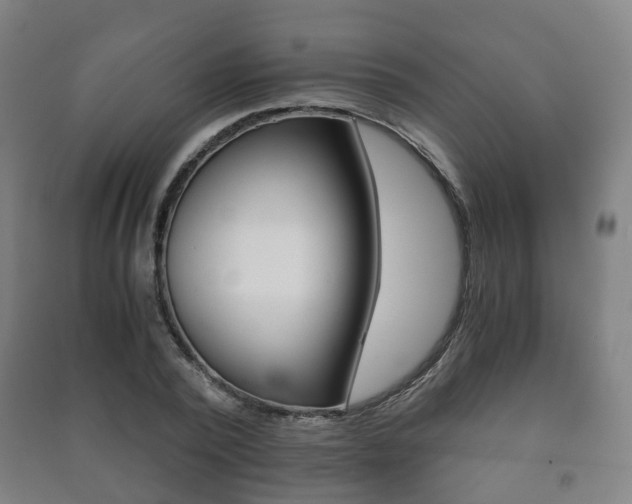 X0000091450784200708161046