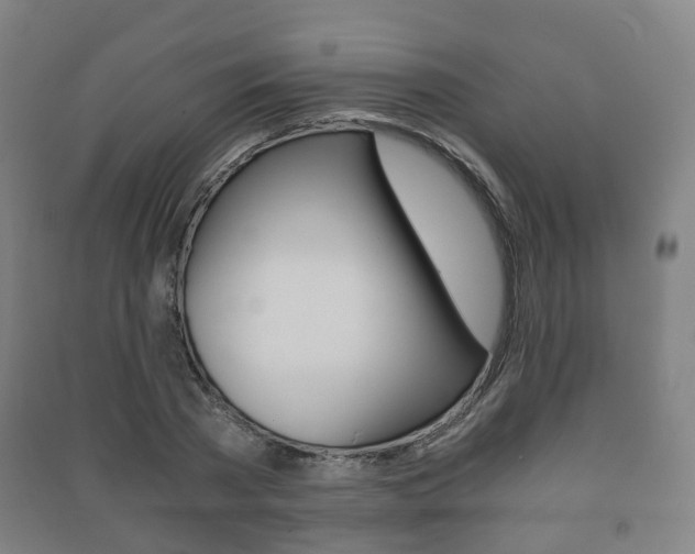 X0000091450785200708161046
