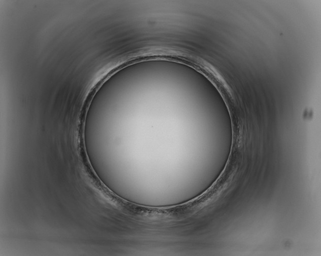 X0000091450786200708161046
