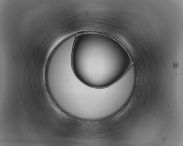 X0000091450788200708161046