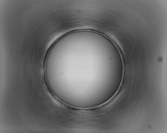 X0000091450789200708161046