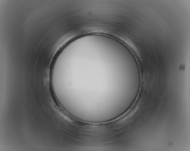 X0000091450790200708161046