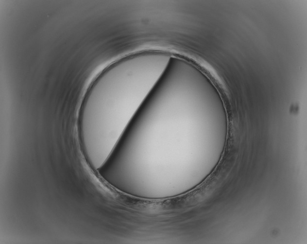 X0000091450791200708161046