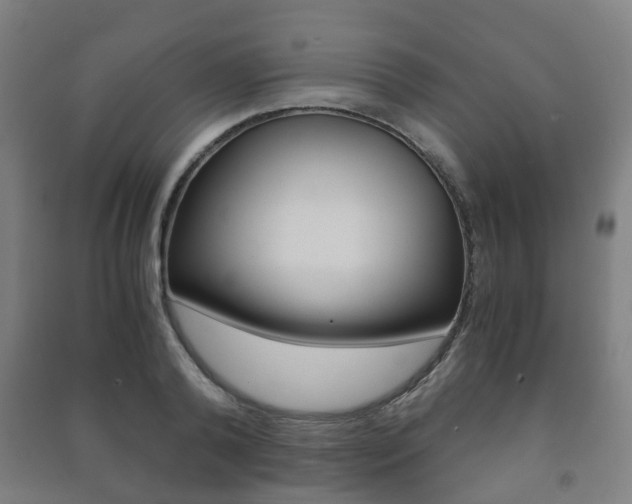 X0000091450792200708161046
