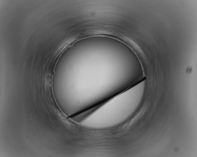X0000091450793200708161046