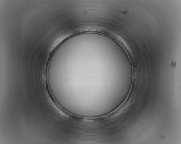 X0000091450794200708161046