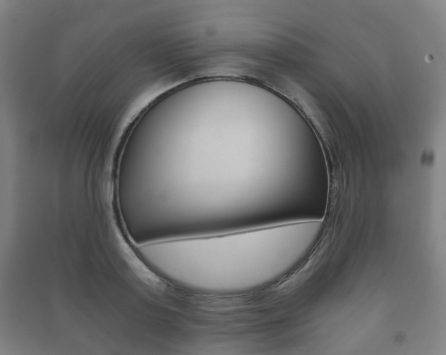 X0000091450795200708161046