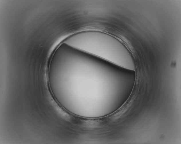 X0000091450796200708161046