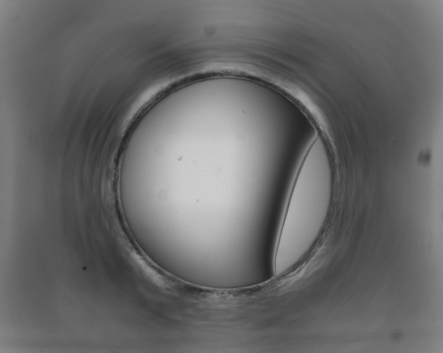 X0000091450799200708161046