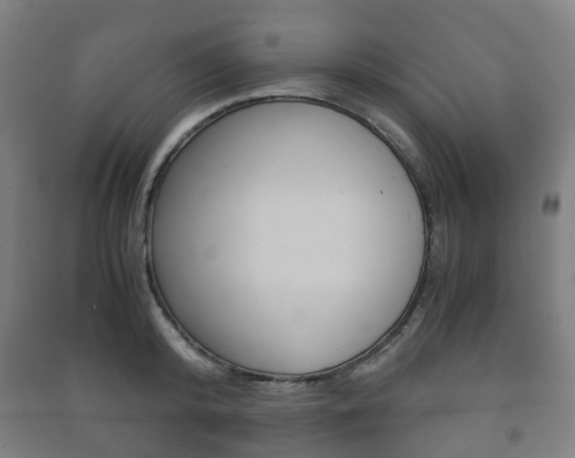 X0000091450800200708161046