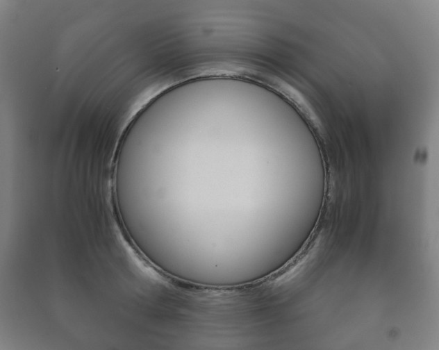 X0000091450802200708161046