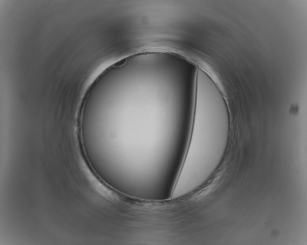 X0000091450803200708161046