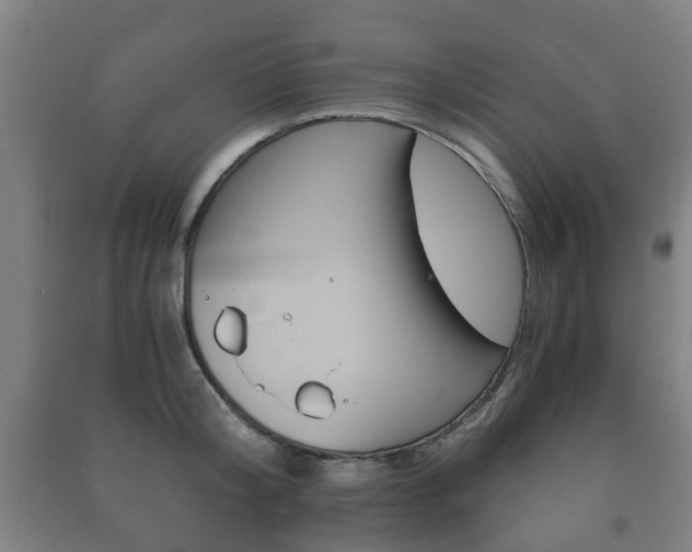 X0000091450804200708161046