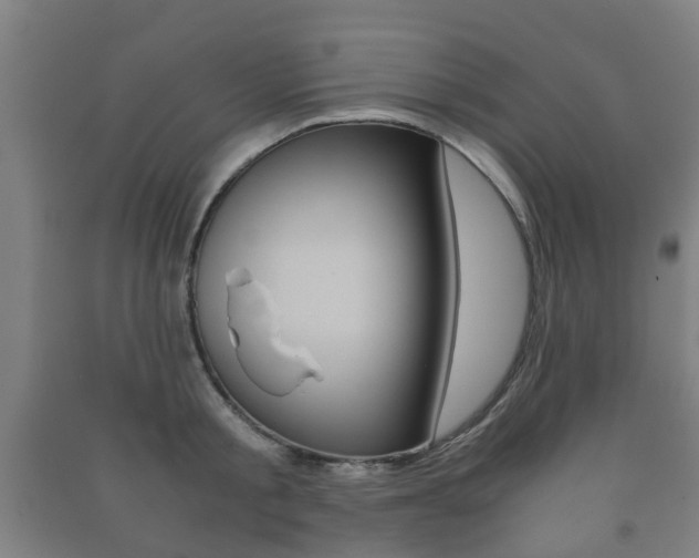 X0000091450805200708161046