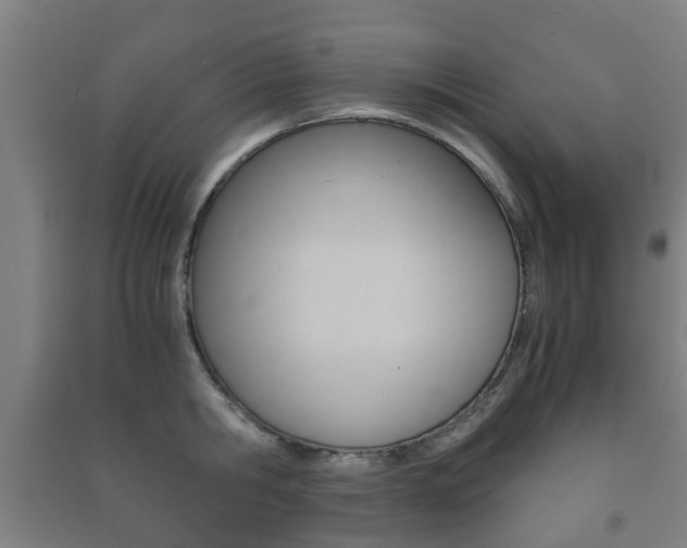 X0000091450806200708161046