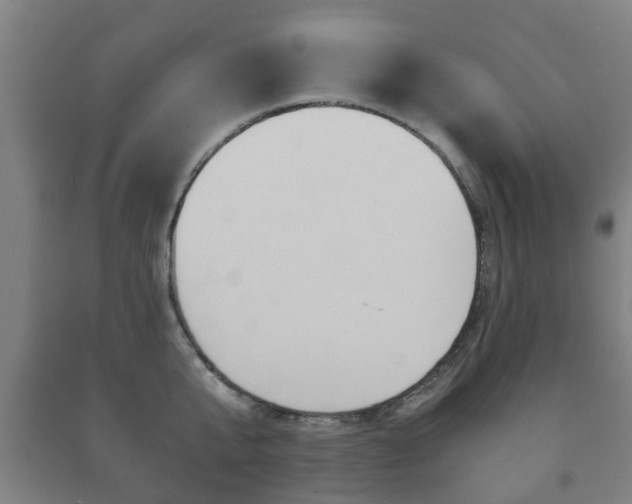 X0000091450807200708161046