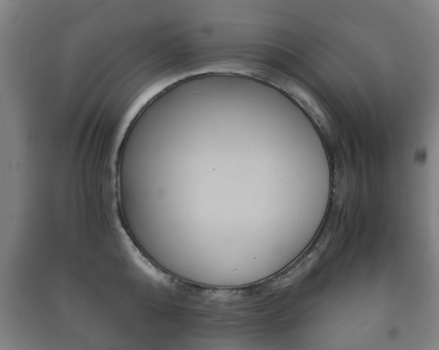 X0000091450808200708161046