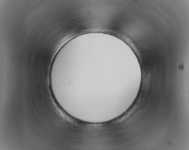 X0000091450810200708161046