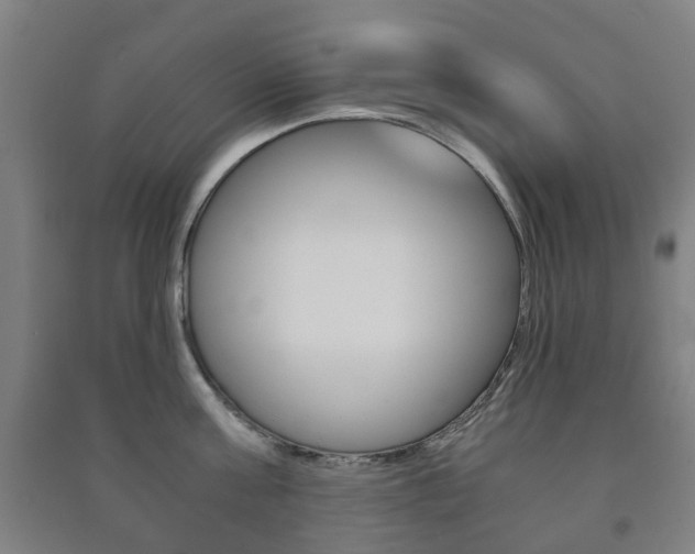 X0000091450811200708161046