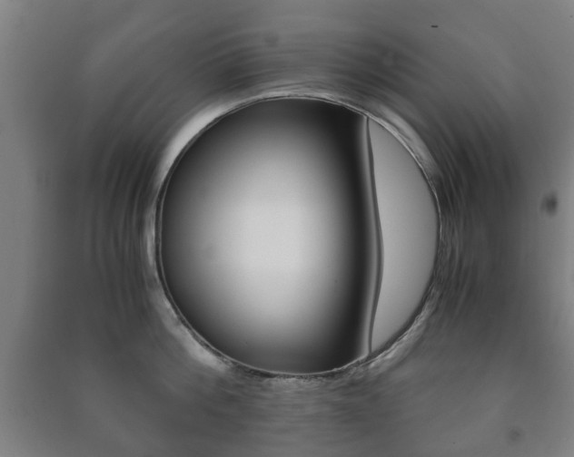 X0000091450812200708161046