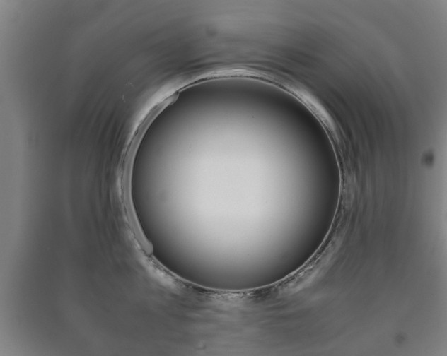 X0000091450813200708161046