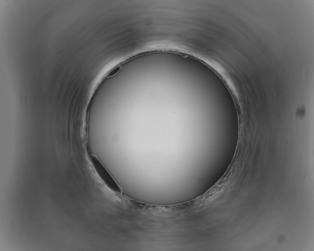 X0000091450815200708161046