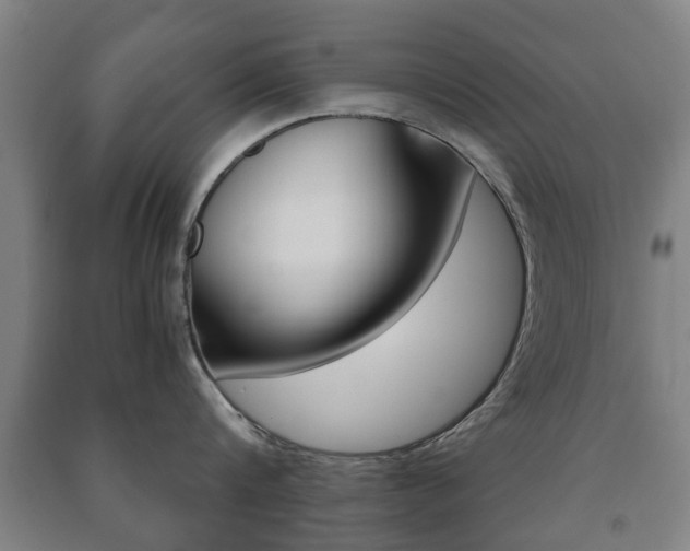 X0000091450816200708161046