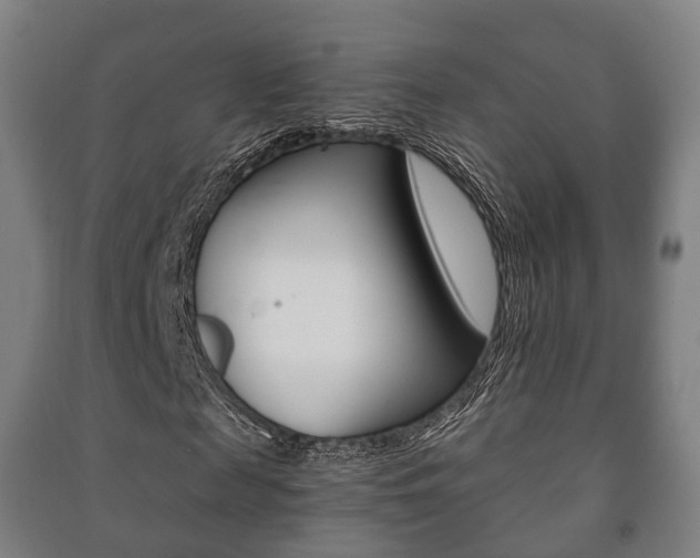 X0000091450817200708161045