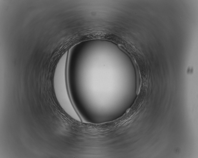 X0000091450818200708161045